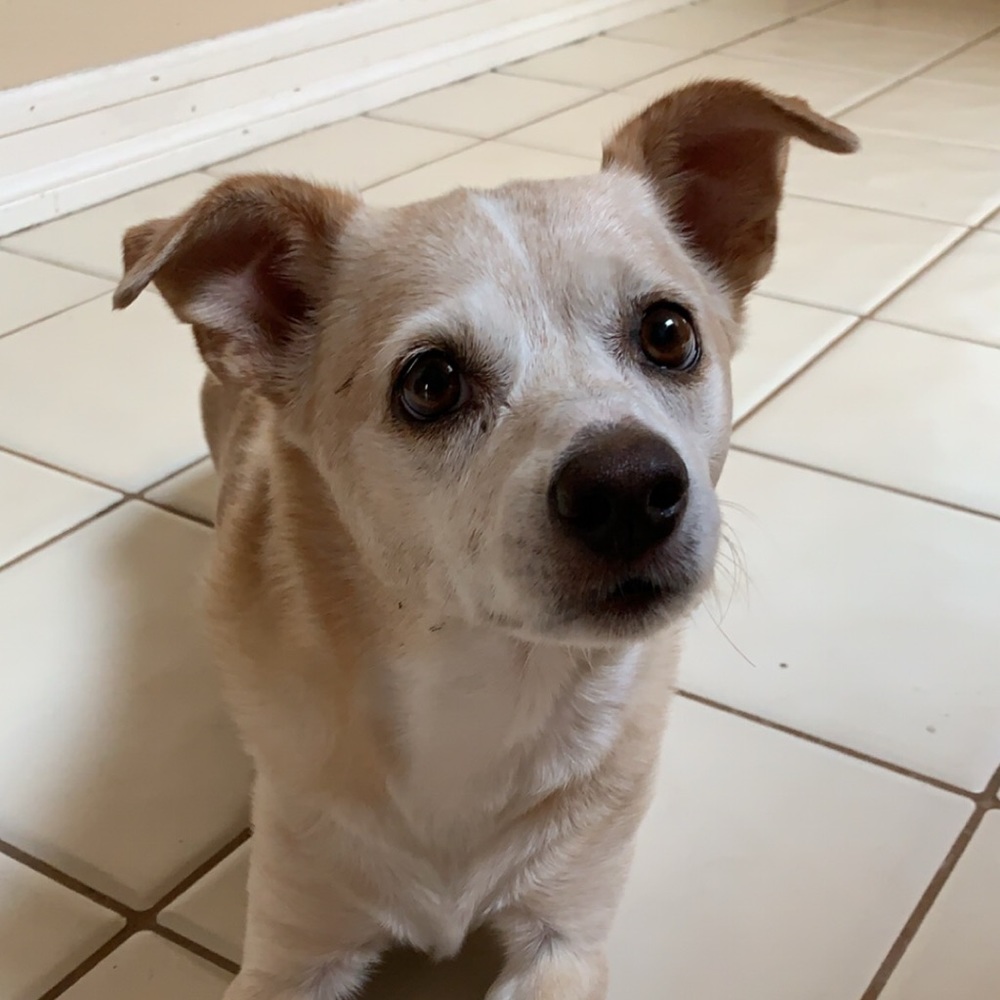 Meet your Posher, Steph